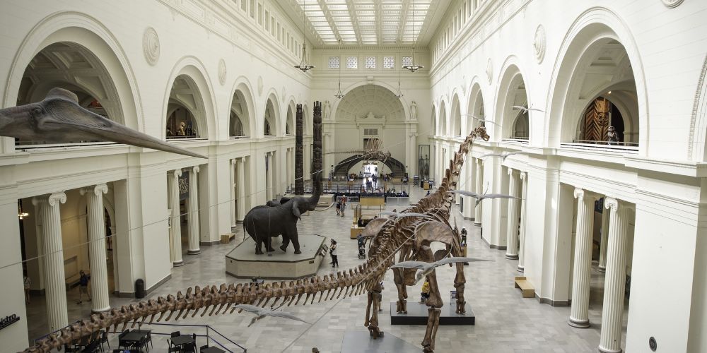 Holiday Photos at Field Museum in Chicago, IL