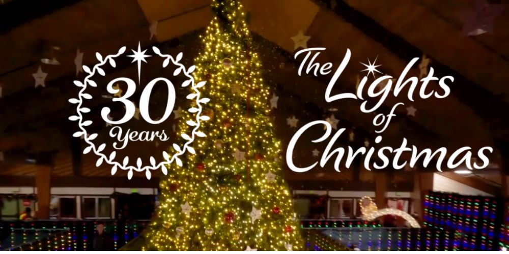 Holiday Photos at Lights of Christmas (Warm Beach) in Stanwood, WA